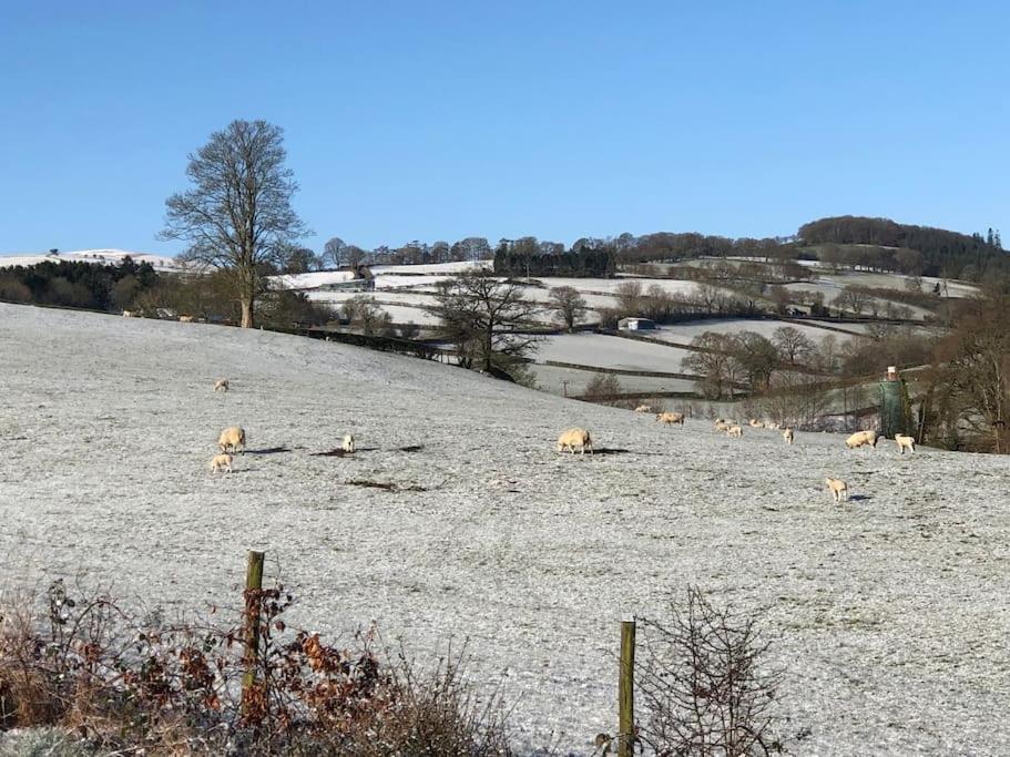 5F Stanley Lodge, Caer Beris, Builth Wells - No Tradesman Exterior foto